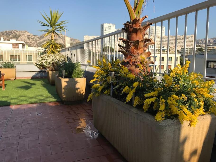Apt Proche Des Calanques Marselha Exterior foto